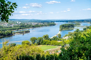 Foto op Canvas Blick über Rüdesheim und den Inselrhein vom Rochusberg, Bingen am Rhein, Deutschland  © Sina Ettmer