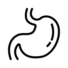 stomach linear vector icon, vector illustration