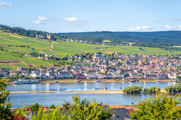 Blick über Rüdesheim und den Inselrhein vom Rochusberg, Bingen am Rhein, Deutschland 