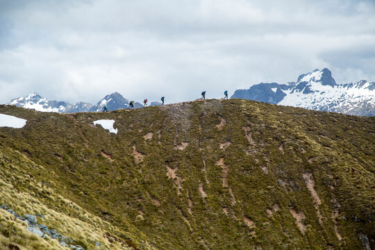 Hikers Hiking Along The Kepler Track In Fiordland National Park, New Zealand