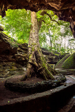 Cave Entrance On Java, Indonesia