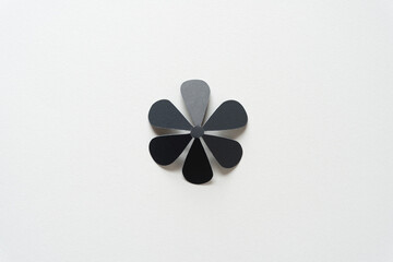 isolated paper asterisk on blank paper