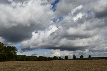 Feld mit Bäumen und Wolkenhimmel