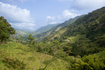 Paisaje Cultural Cafetero