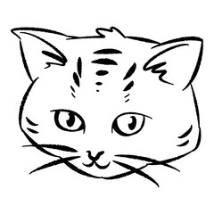 Hand drawn illustration of cat face with chubby cheeks. line art, black outline. cute kitten cartoon character. doodle sketch. Perfect for print, poster, greeting card.