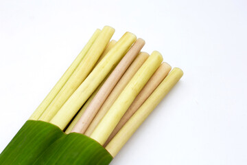 Lotus stems on white background.