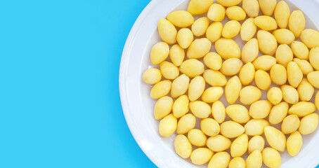 Boiled ginkgo nuts on blue background.