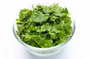 Fresh coriander leaves on white background.
