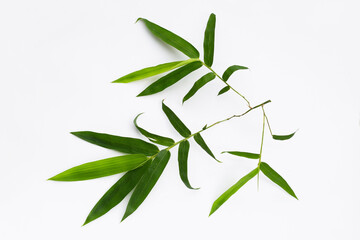 Bamboo leaves on white background.