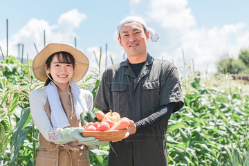 農業・農家・家庭菜園をするアジア人男女（野菜）