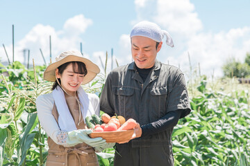農業・農家・家庭菜園をするアジア人男女（野菜）
