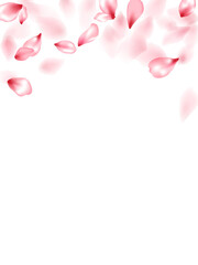 Pink sakura flower flying petals isolated on white vector background.