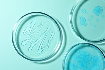 Petri dishes with liquids on turquoise background, flat lay