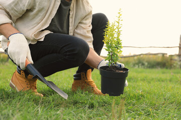Man planting tree in countryside, closeup view
