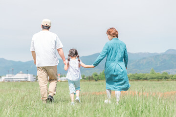 Fototapeta premium 春・夏に公園・草原を歩く家族・ファミリーの後ろ姿（子供・両親・移住・田舎暮らし） 
