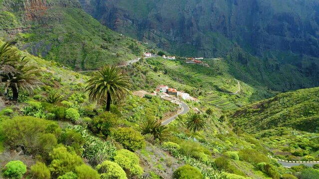 Mountain village Masca in ravine in springtime with morning light. Green hills landscape with winding road. Famous tourist destination. Tenerife Canary Islands Spain Europe.