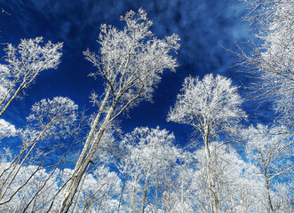 Blue Ridge Mountains in Snow.
Spectacular view at Max Patch, North Carolina and Tennessee. Asheville. Great Smoky Mountains. Appalachian trails.