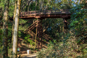 Fototapeta premium 滝山城跡の木橋【国指定史跡】／Wooden bridge at the ruins of Takiyama Castle / Hachioji City, Tokyo, Japan