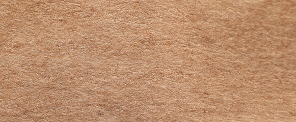 craft brown paper background cardboard sheet blank