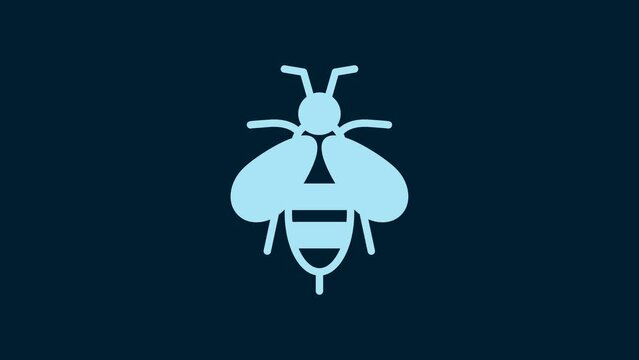 White Bee icon isolated on blue background. Sweet natural food. Honeybee or apis with wings symbol. Flying insect. 4K Video motion graphic animation
