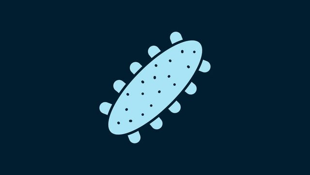 White Sea cucumber icon isolated on blue background. Marine food. 4K Video motion graphic animation