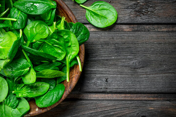 Spinach leaves in bowl.