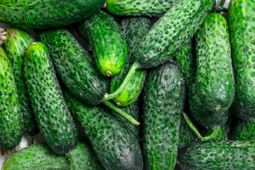 Ripe green cucumbers.