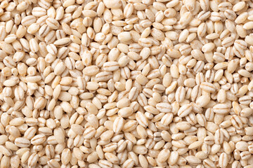 The food background of raw highland barley, top view.a