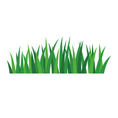 Fototapeta premium natural green grass bushes decorate environmental ecology cartoon scene