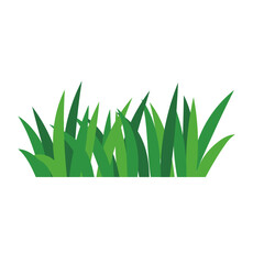 natural green grass bushes decorate environmental ecology cartoon scene