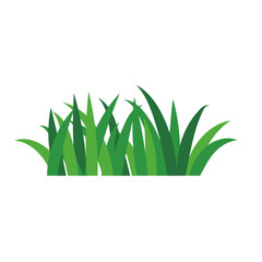 natural green grass bushes decorate environmental ecology cartoon scene