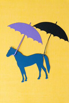 horse and umbrellas