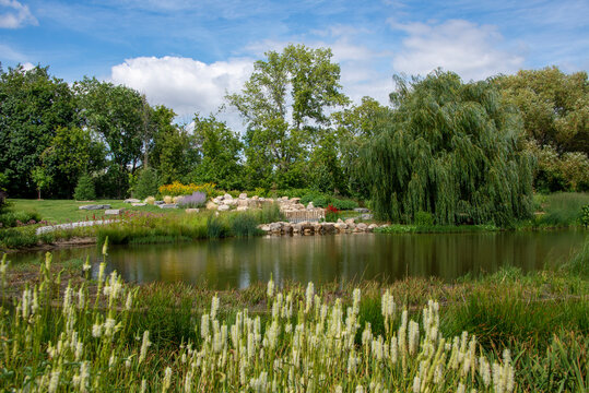City park in Montreal