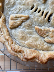 A Fresh Pie out of the Oven