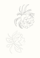 Fototapeta premium Drawing vector graphics with floral pattern for design. Floral flower natural design. 
