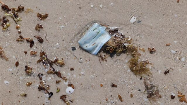 Blue Disposable Medical Procedure Face Mask 
washed up on Australian beach shore 
Height Zoom Up
