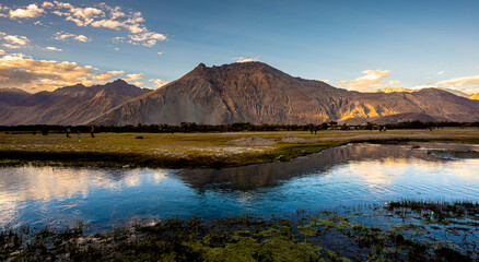 The landscape around Pangong Lake in Ladakh, India