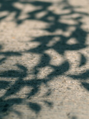 small stone texture floor with tree shadow