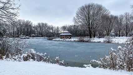 winter in the park with frozen pond