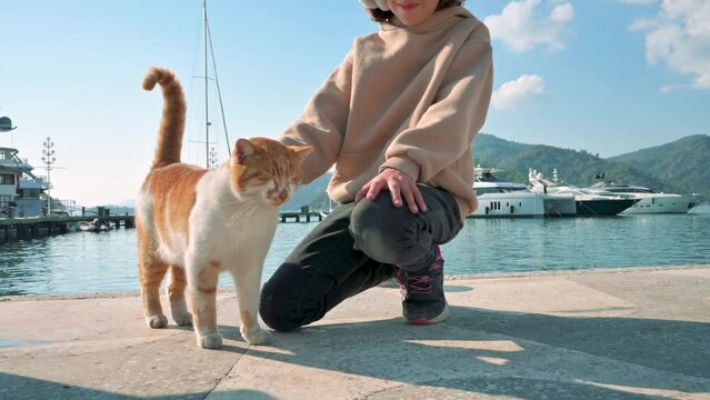 Girl tender petting a red and white cat in the yacht port. Kash city in Turkey. 4k footage UHD 3840x2160 
