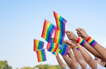 diversity of gays hands wear rainbow  wristbands holding lgbt flags up into the sky together, represents to unity of gay community and freedom.concept lgbtq happy pride month in june