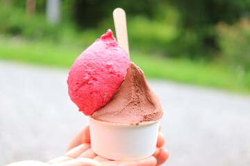 カラフルなジェラート　食べ物　糖質
