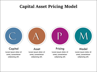 CAPM - Capital Asset Pricing Model with icons and description placeholder