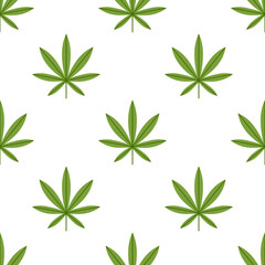 Cannabis leaves on white. Vector seamless pattern - 561434162