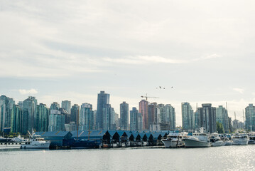 view of Vancouver skyline and Burrard Inlet from Stanley Park in autumn, Vancouver, British Columbia - sep 2019