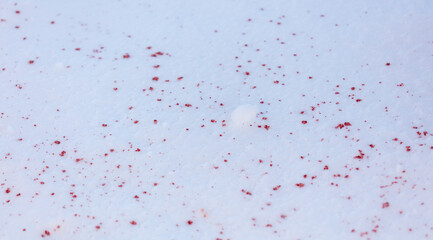 Red blood on white snow