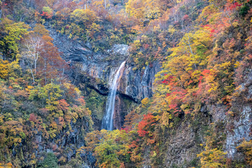 滝を囲む紅葉