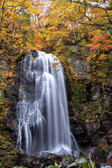 Fototapeta na wymiar 滝を覆う紅葉