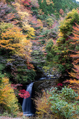 紅葉の谷あいを流れる滝