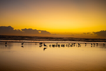 Fototapeta premium Daytona Beach Sunrise